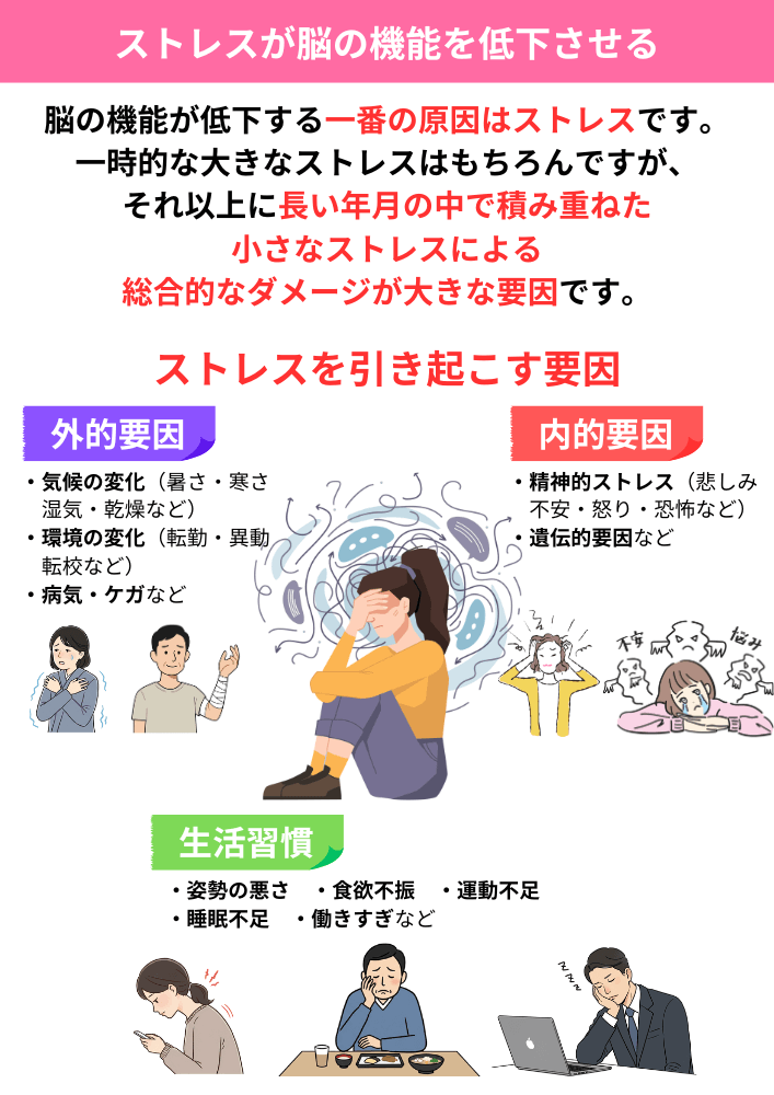 ストレスが脳の機能低下の原因